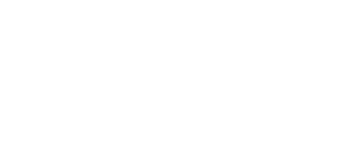 DOCK Dessau
